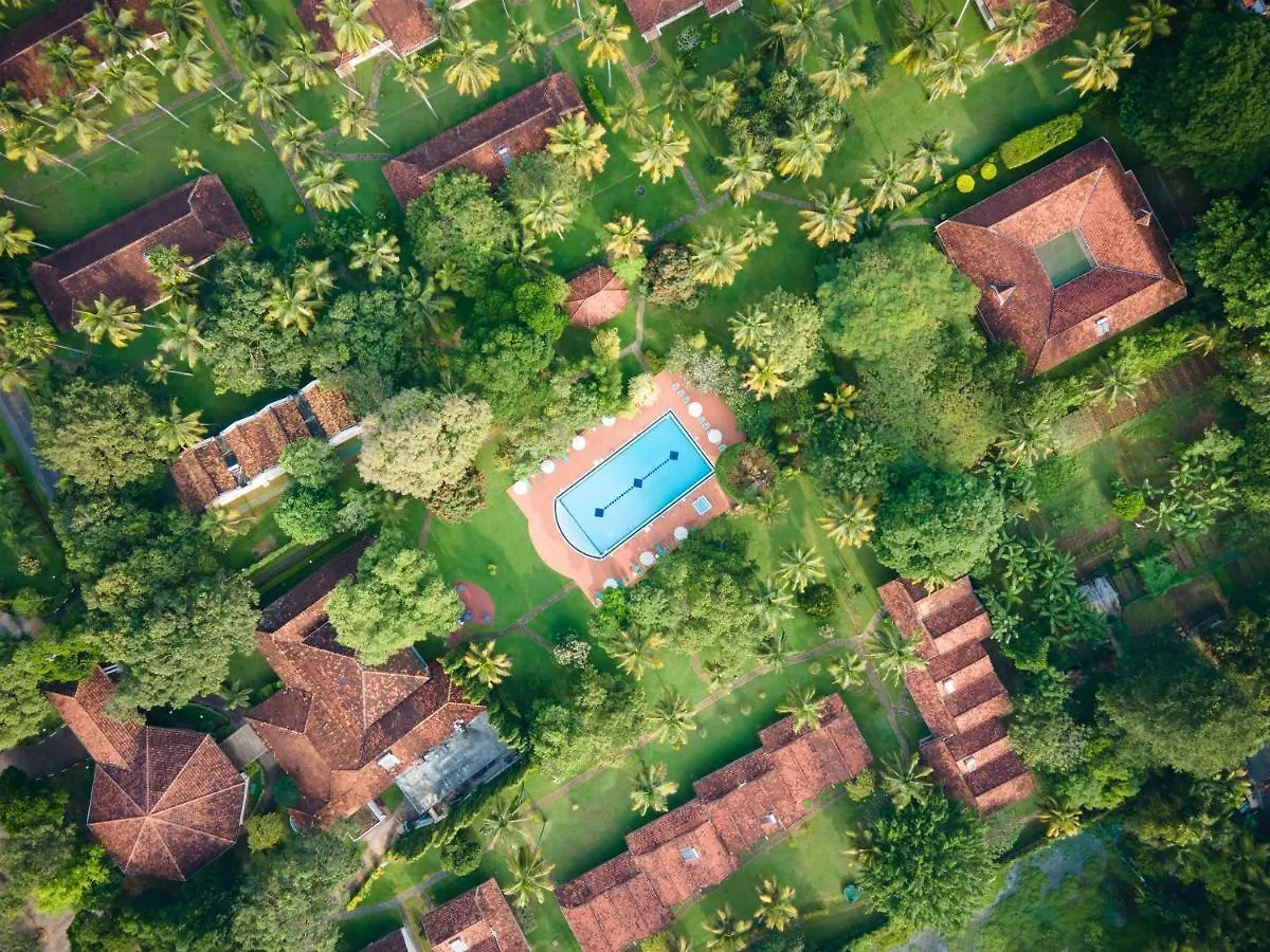 Tamarind Tree Garden Resort - Katunayake Negombo